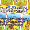 開講リクエスト受付中 メディスン カードリーダー養成講座 The World Of Animal Medicine Arcadia Holistic Healing School